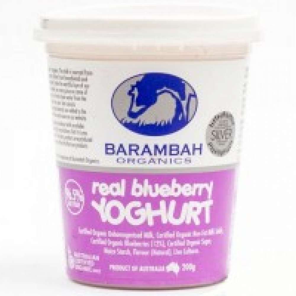 Barambah Organic Yoghurt - Blueberry