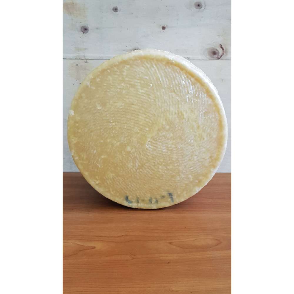 Plain Pecorino Wheel