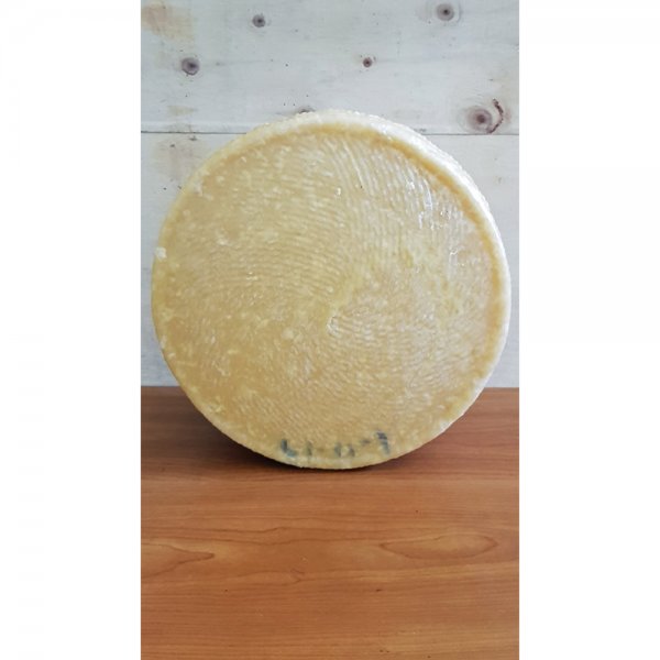 Plain Pecorino Wheel